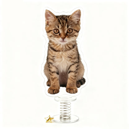 Yakelike Custom Acrylic Spring Stand Signs