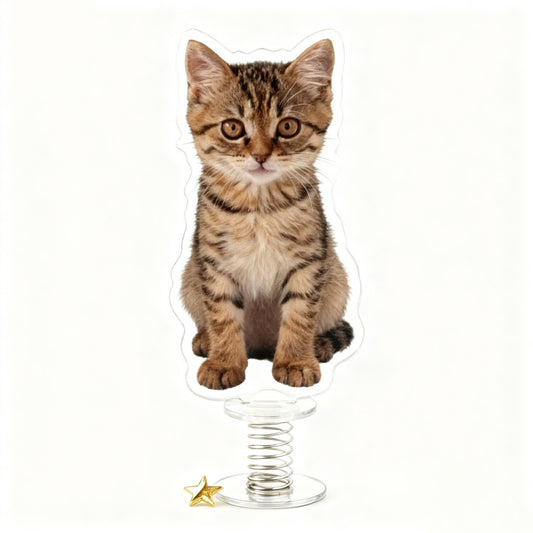 Yakelike Custom Acrylic Spring Stand Signs